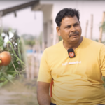 सब्जियां